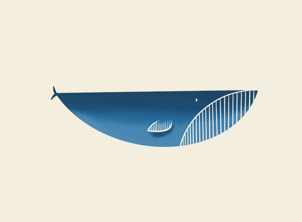 Baleines