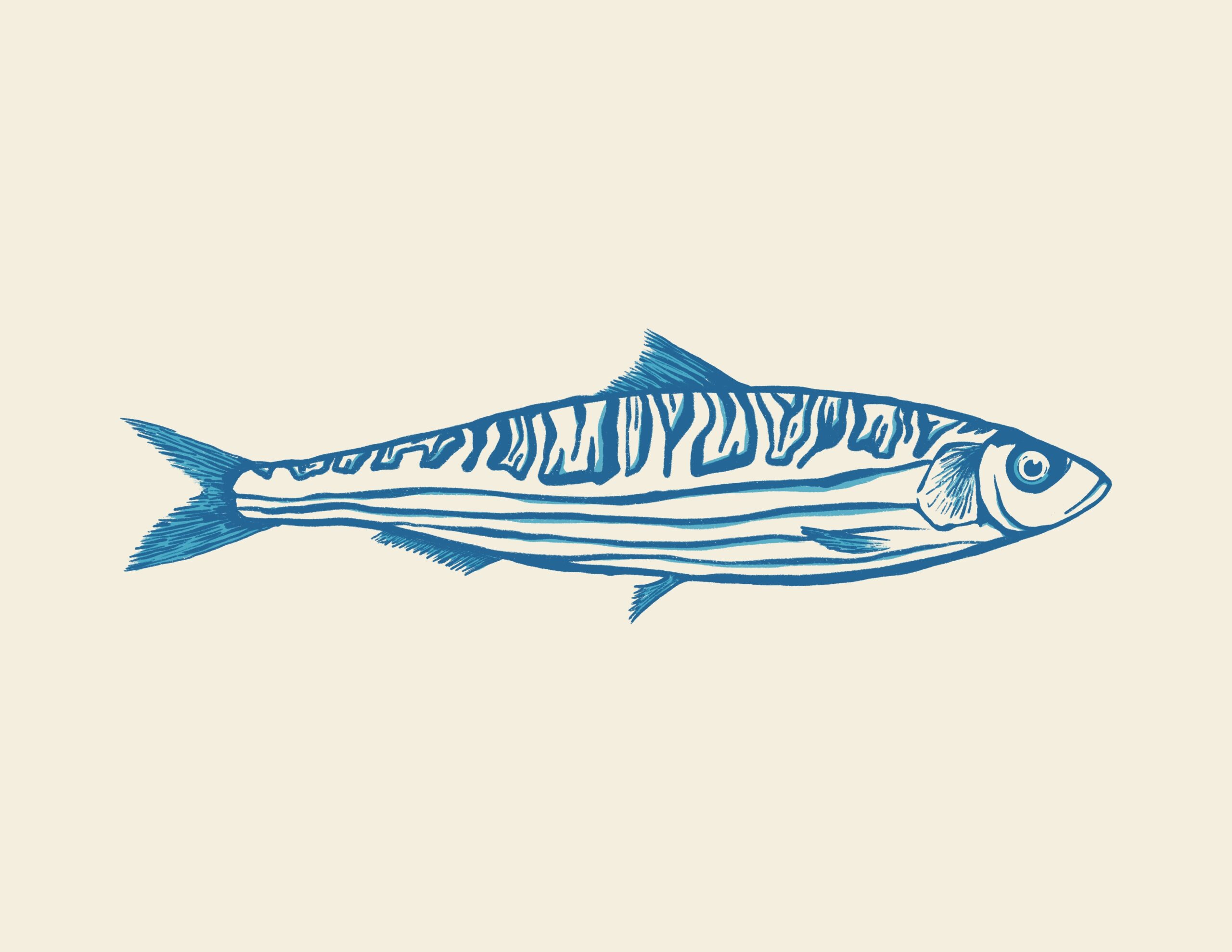 Sardine solo 1