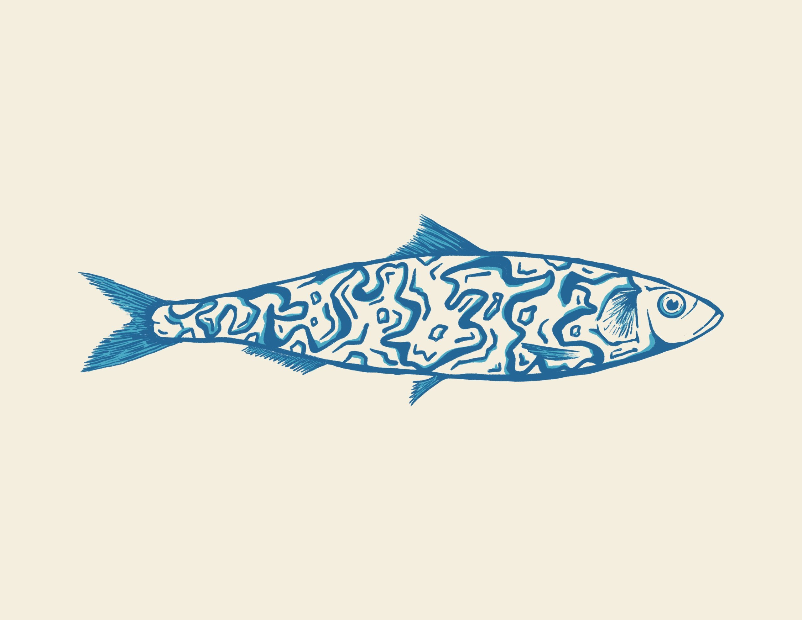 Sardine solo 4