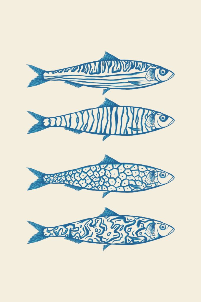 Sardines